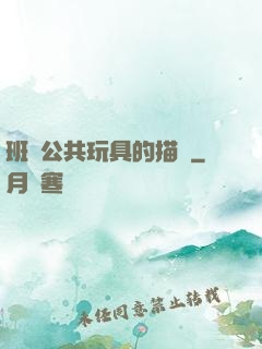 班級公共玩具的描寫