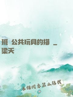 班級公共玩具的描寫