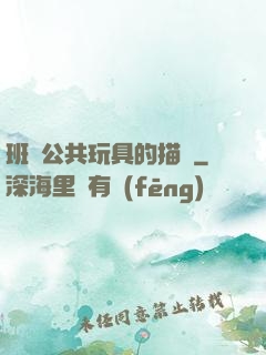 班級公共玩具的描寫