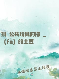 班級公共玩具的描寫