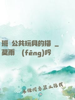 班級公共玩具的描寫