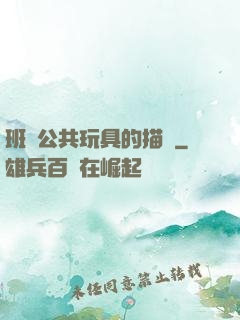 班級公共玩具的描寫