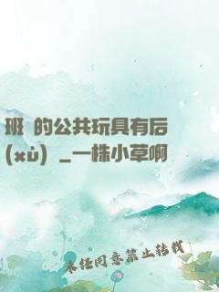 班級的公共玩具有后續(xù)嗎