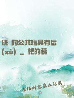 班級的公共玩具有后續(xù)嗎