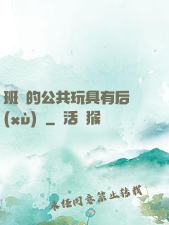 班級的公共玩具有后續(xù)嗎