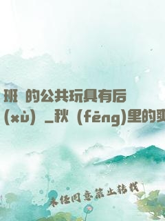 班級的公共玩具有后續(xù)嗎