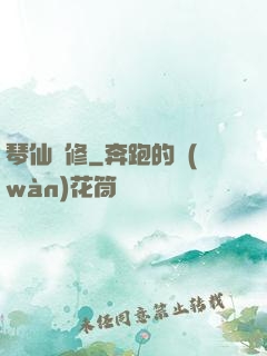 琴仙劍修