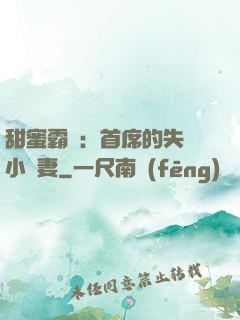 甜蜜霸寵：首席的失憶小嬌妻