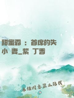 甜蜜霸寵：首席的失憶小嬌妻