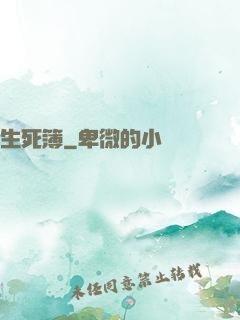 生死簿