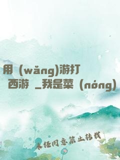 用網(wǎng)游打開西游記