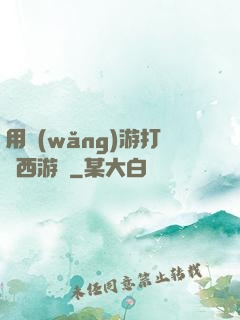 用網(wǎng)游打開西游記