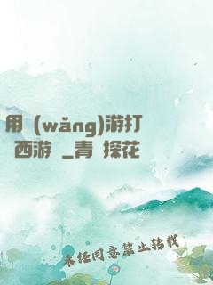 用網(wǎng)游打開西游記