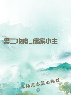 男二攻略