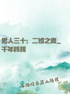 男人三十：二婚之妻