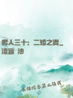 男人三十：二婚之妻