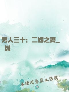 男人三十：二婚之妻