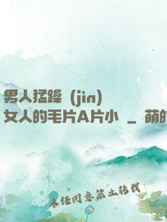 男人猛躁進(jìn)女人的毛片A片小說