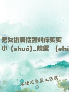 男女做爰猛烈叫床爽爽小說(shuō)