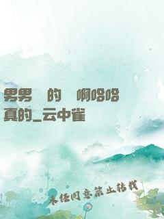 男男車車的車車啊哈哈真的