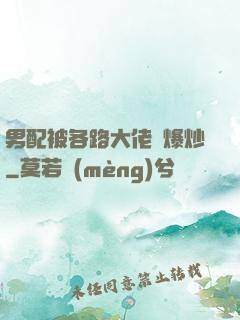 男配被各路大佬們爆炒