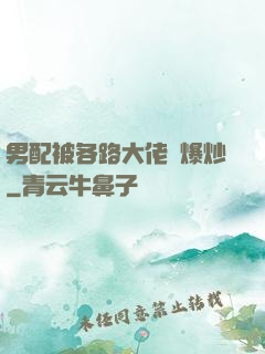 男配被各路大佬們爆炒