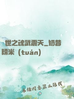 異世之魂武震天
