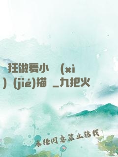 瘋狂做爰小說細(xì)節(jié)描寫