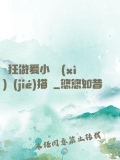 瘋狂做爰小說細(xì)節(jié)描寫