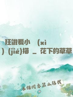 瘋狂做爰小說細(xì)節(jié)描寫