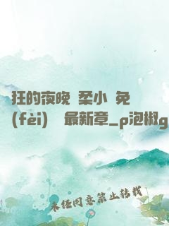 瘋狂的夜晚蘇柔小說免費(fèi)閱讀最新章