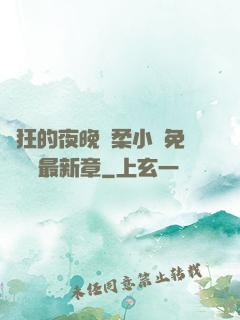 瘋狂的夜晚蘇柔小說免費閱讀最新章