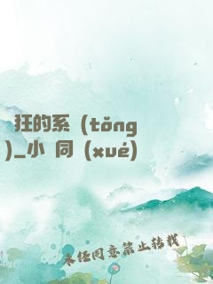 瘋狂的系統(tǒng)