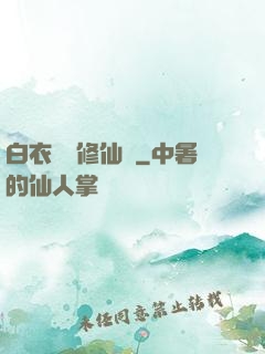 白衣彎劍修仙記