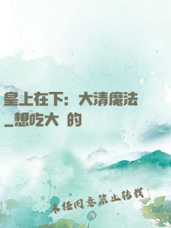 皇上在下：大清魔法師