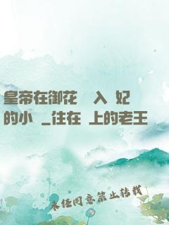 皇帝在御花園進入貴妃的小說