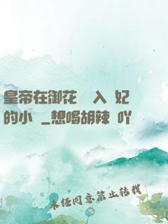 皇帝在御花園進入貴妃的小說