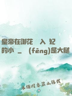 皇帝在御花園進入貴妃的小說