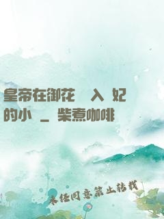 皇帝在御花園進入貴妃的小說