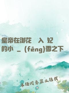 皇帝在御花園進入貴妃的小說