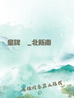 皇牌龍騎