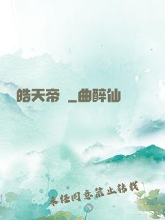 皓天帝輝