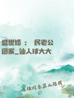 盛世婚寵：國民老公帶回家