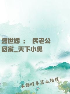 盛世婚寵：國民老公帶回家