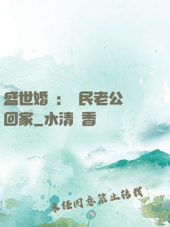 盛世婚寵：國民老公帶回家