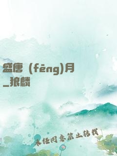 盛唐風(fēng)月