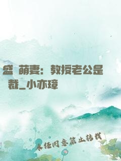 盛寵萌妻：教授老公是總裁