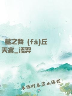盜墓之我發(fā)丘天官