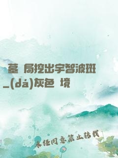 盜墓開局挖出宇智波斑