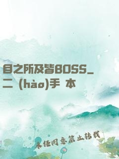目之所及皆BOSS